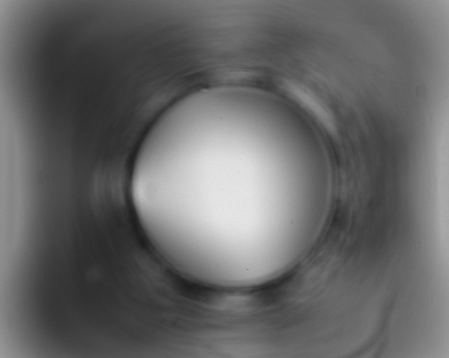 X0000092100107200709262148