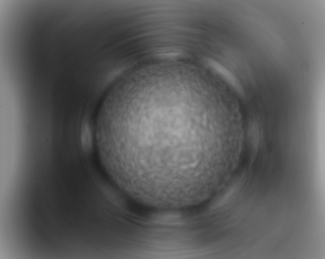 X0000092100110200709262148