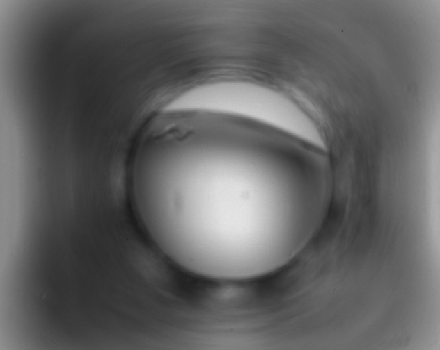 X0000092100111200709262148