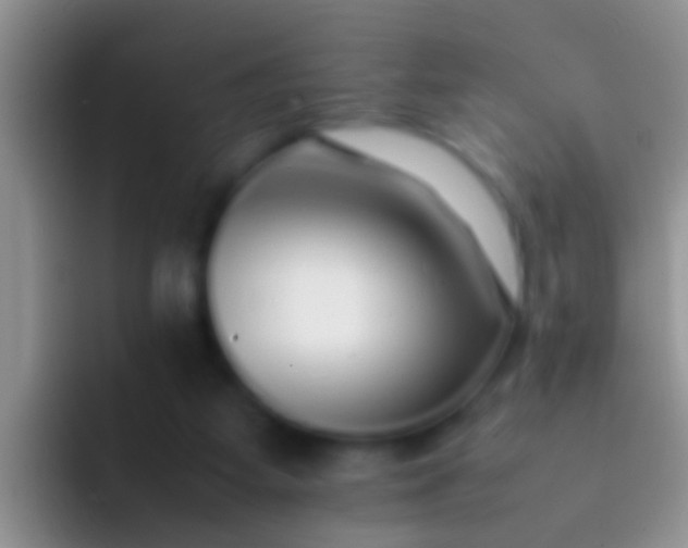 X0000092100115200709262148