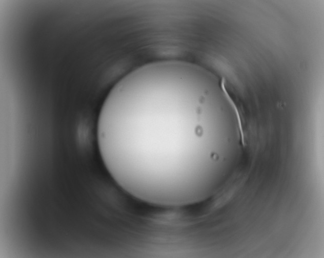 X0000092100116200709262148