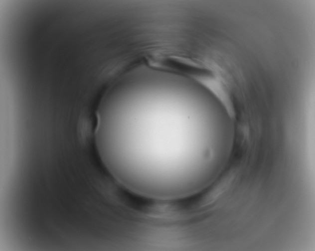 X0000092100117200709262148