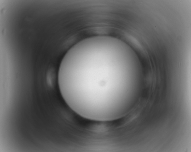 X0000092100120200709262148