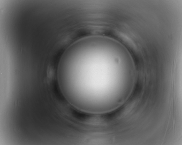 X0000092100123200709262148