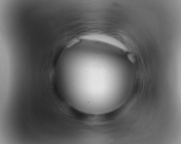 X0000092100125200709262148