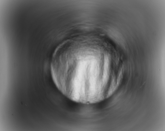 X0000092100127200709262148