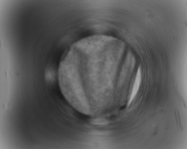 X0000092100137200709262148