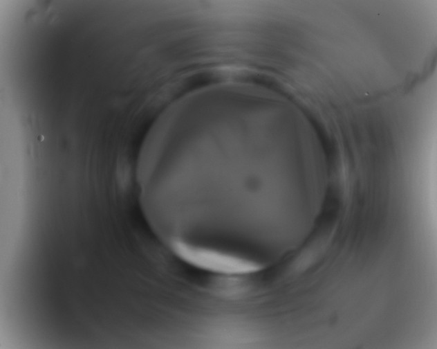 X0000092100139200709262148