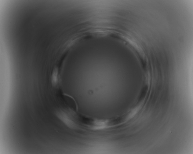 X0000092100143200709262148