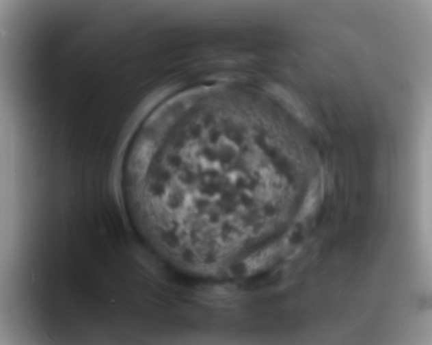 X0000092100147200709262147