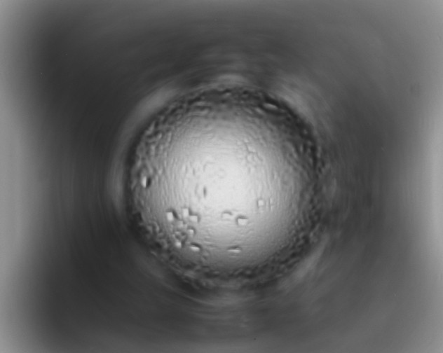 X0000092100149200709262147