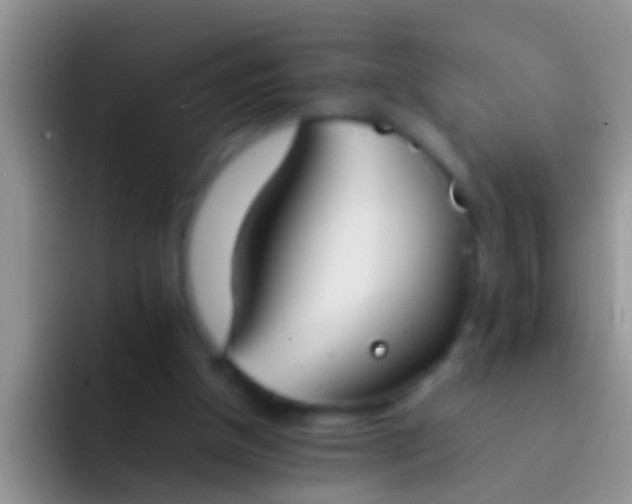 X0000092100154200709262147