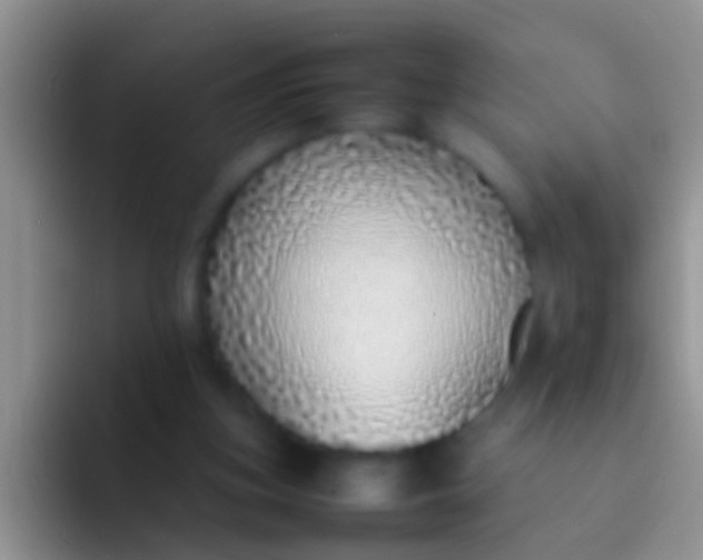 X0000092100155200709262147