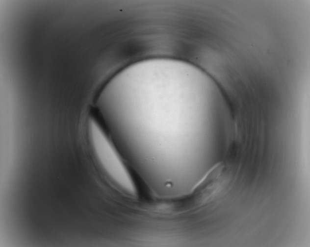 X0000092100156200709262147