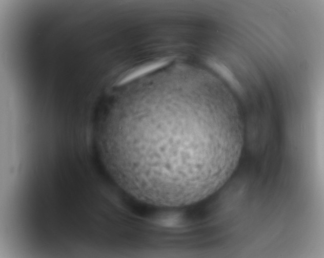 X0000092100161200709262147