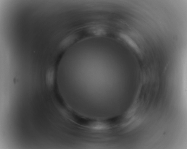 X0000092100163200709262147