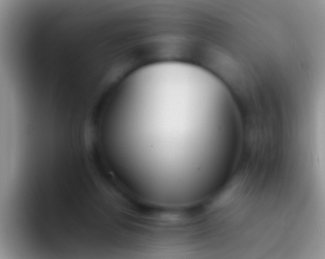 X0000092100164200709262147