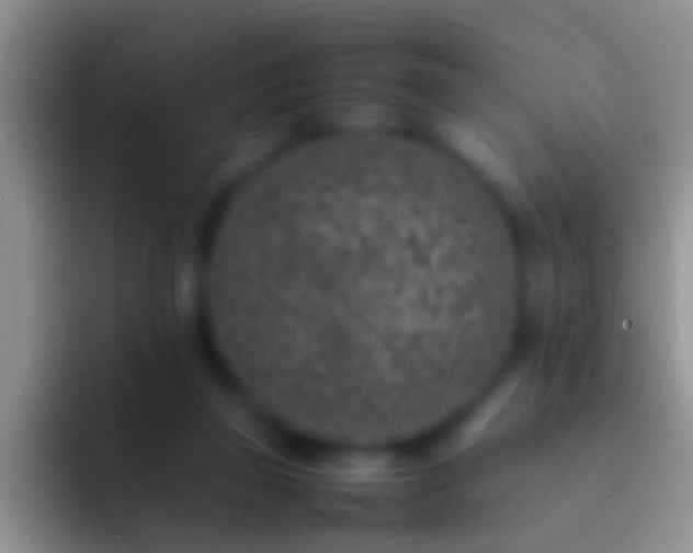 X0000092100165200709262147