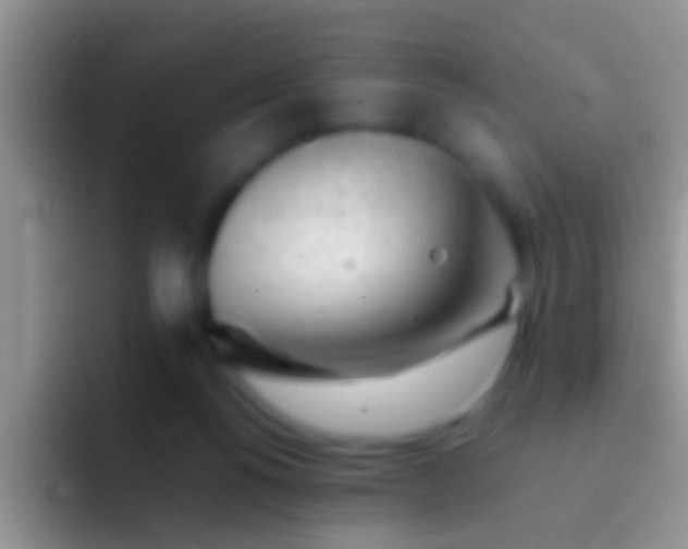 X0000092100168200709262147