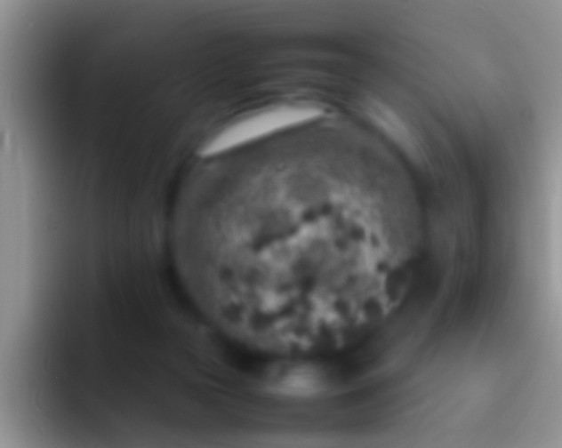 X0000092100169200709262147