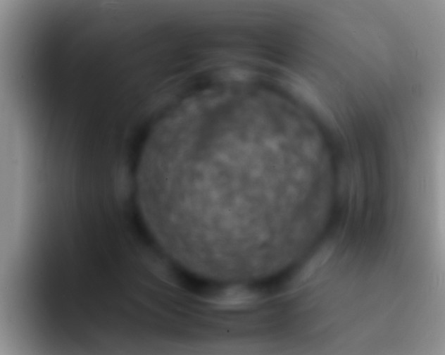 X0000092100173200709262147