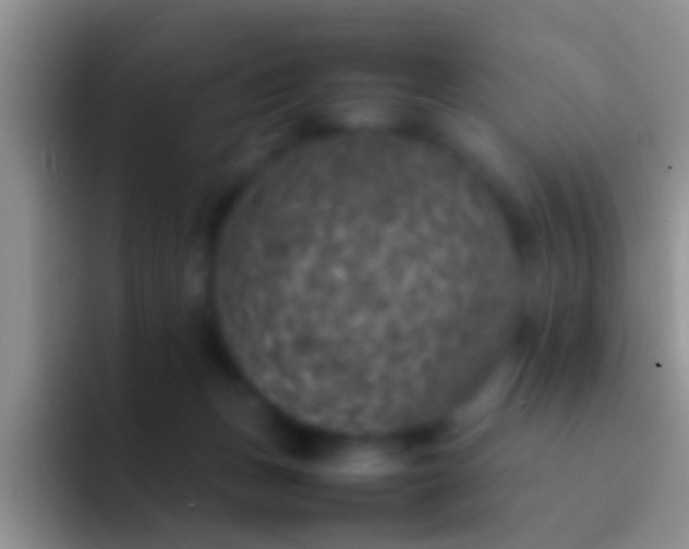 X0000092100175200709262147