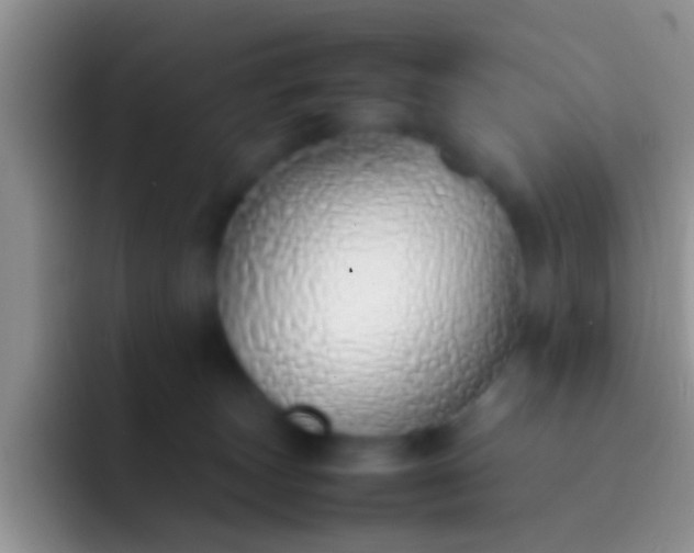 X0000092100179200709262147