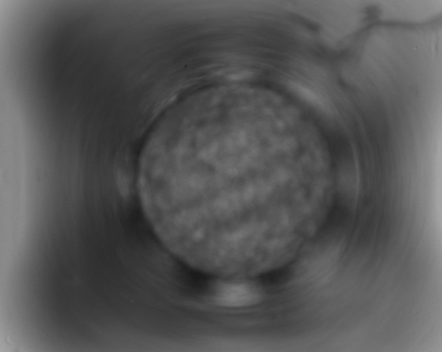 X0000092100181200709262148