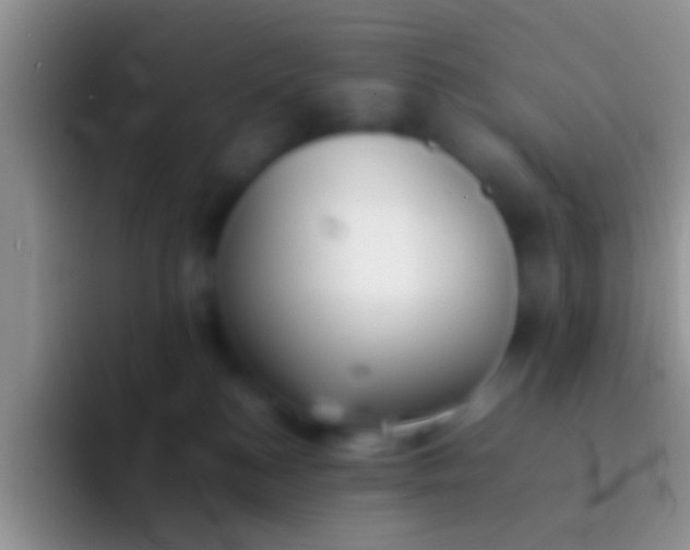 X0000092100184200709262148