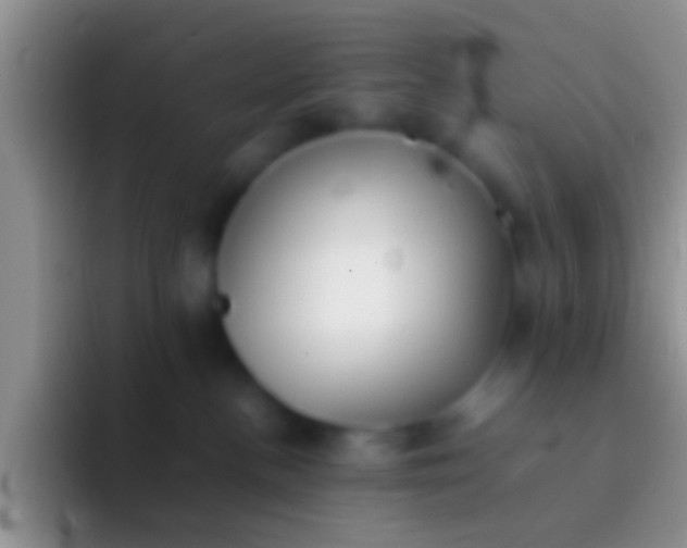 X0000092100188200709262148