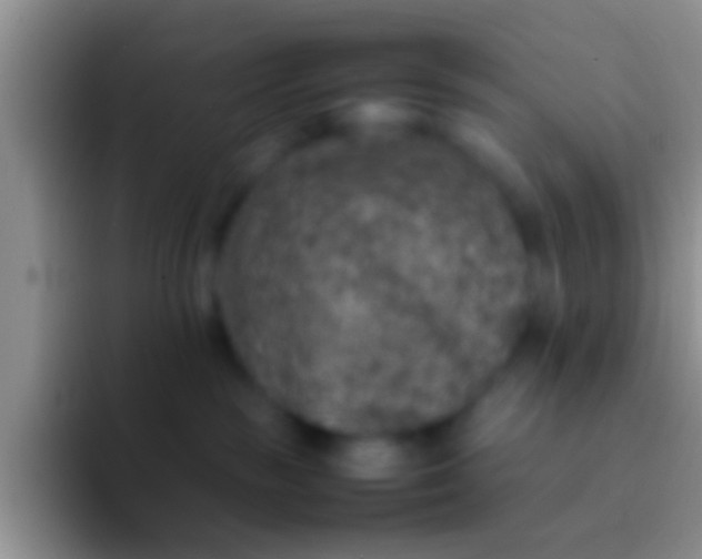 X0000092100189200709262148