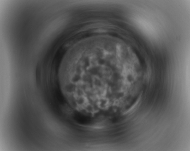 X0000092100191200709262148