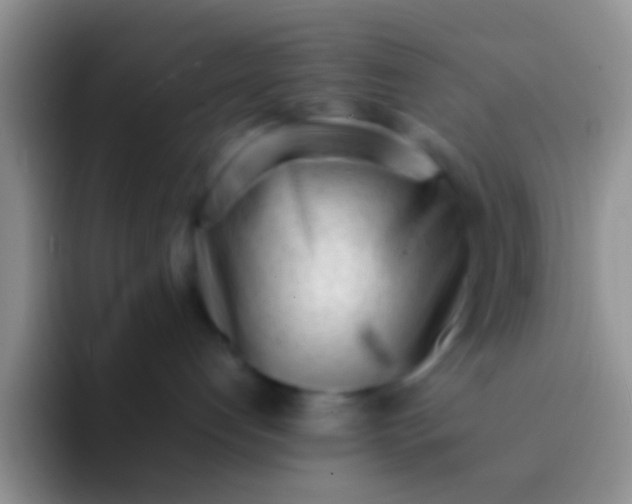 X0000092100192200709262148