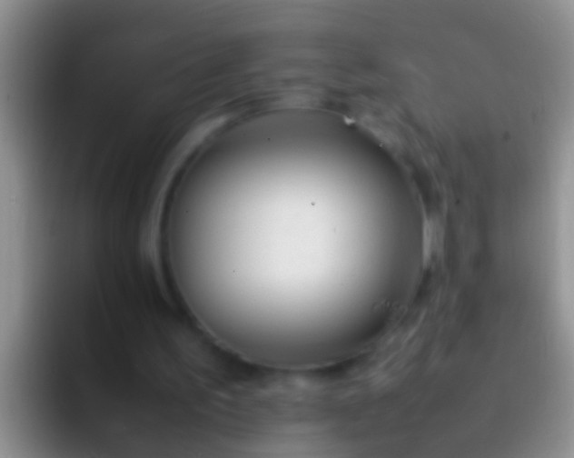 X0000092100195200709262147