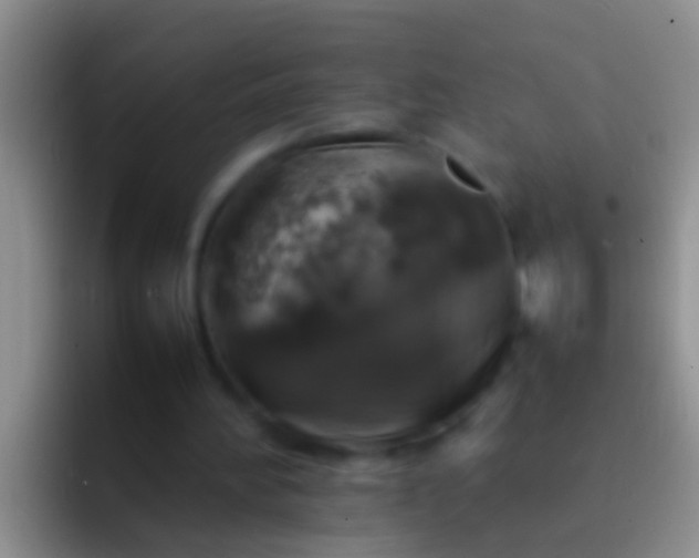 X0000092100196200709262147