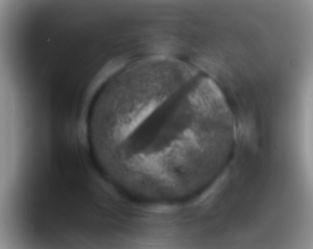 X0000092100198200709262147