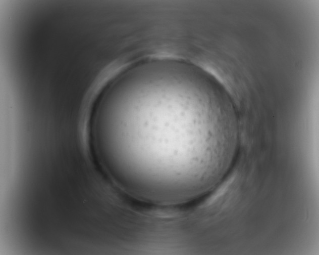 X0000092100199200709262147