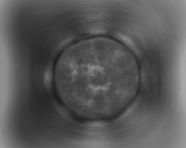 X0000092100202200709262147