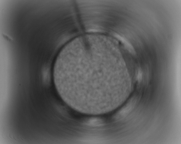 X0000092100204200709262147