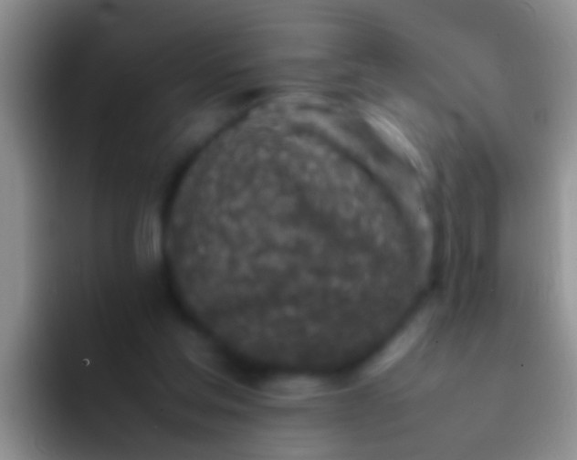 X0000092100205200709262147