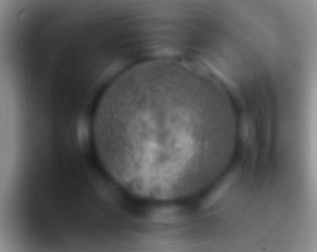 X0000092100206200709262147