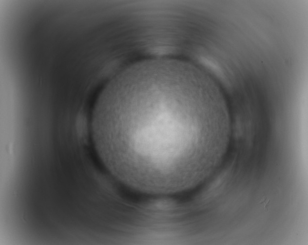 X0000092100210200709262147