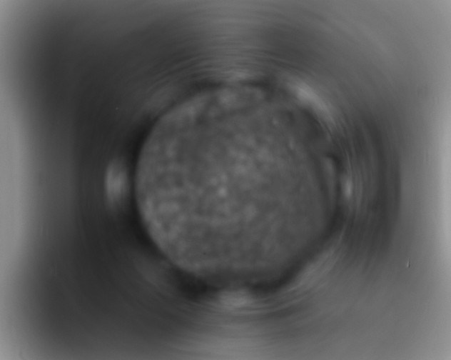 X0000092100214200709262147