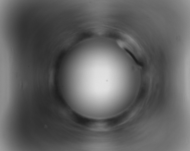 X0000092100217200709262147