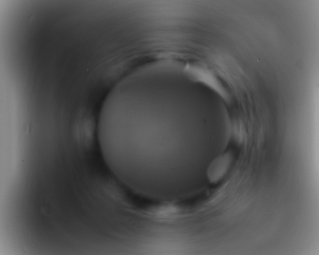 X0000092100219200709262147