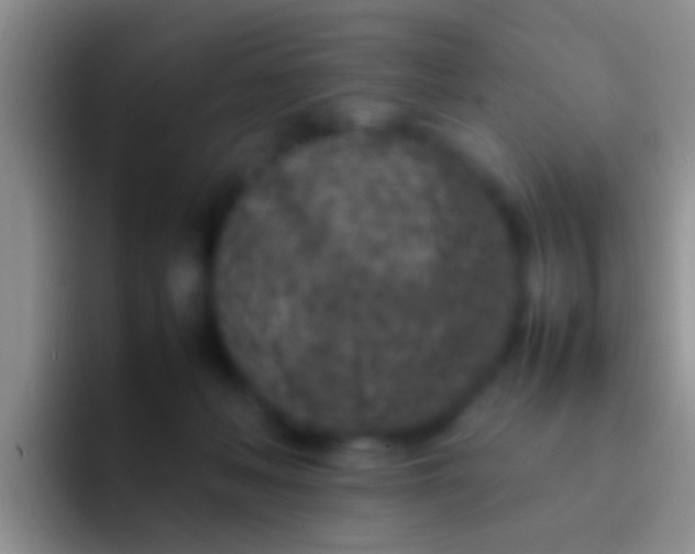 X0000092100222200709262147