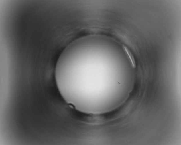 X0000092100225200709262147