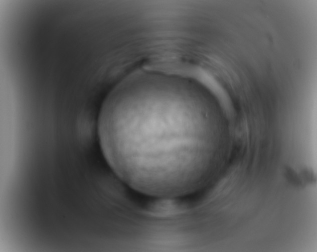 X0000092100227200709262147