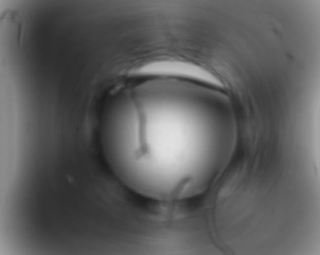 X0000092100229200709262147