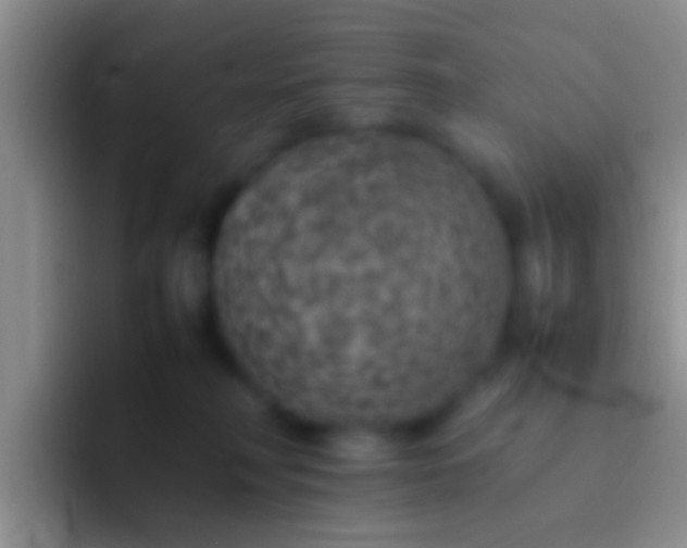 X0000092100230200709262147